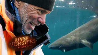 Catching A 7ft 213m Long Greenland Shark  SHARK  River Monsters [upl. by Corell]