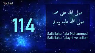 1000 Salavat  SALLALLAHU ALA MUHAMMED SALLALLAHU ALAYHI VE SELLEM [upl. by Hillinck]