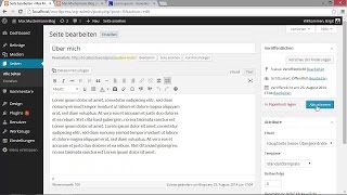 Beiträge und Seiten erstellen  Wordpress 4 – Das umfassende Training [upl. by Akoyin595]
