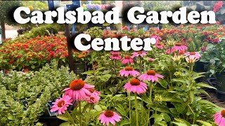 Carlsbad California Garden Center 🌱 Walking Tour 4K [upl. by Yruy]