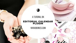 Editorial Calendar Plugin How to Use an Editorial Calendar [upl. by Azpurua]