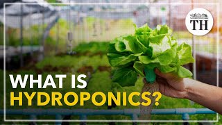 All about Hydroponics [upl. by Rubia]