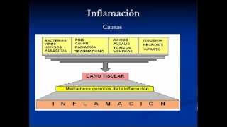 Inflamacion  Fisiopatologia Parte 1 [upl. by Meeharb283]