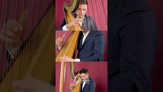 Harp Solo  Toxic britneyspears glissandomusic4events harpist wedding weddingmusic cover [upl. by Kerred]