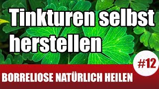 BorrelioseTherapie mit Tinkturen  Tinkturen selbst herstellen  SteviaTinktur  Borreliose 12 [upl. by Henarat]