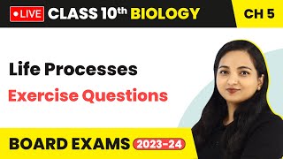 Life Processes  Exercise Questions  Class 10 Biology Chapter 5 LIVE [upl. by Durer]