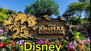 Disney Animal Kingdom [upl. by Stiruc]