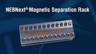 NEBNext Magnetic Separation Rack [upl. by Krusche]