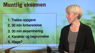 Se filmen Eksamen i norsk [upl. by Eeleimaj440]