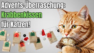 KatzenAdventskalender Tag 4  KrabbenkissenTest [upl. by Abernathy]