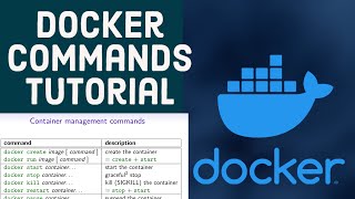 Docker Commands Tutorial  Docker version search pull run ps stop restart kill [upl. by Mozelle]