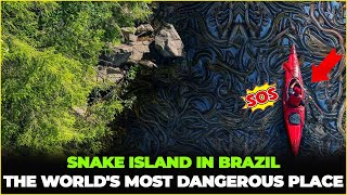 BRAZIL SNAKE ISLAND  THE MOST HORRIFYING PLACE IN THE WORLD [upl. by Adran]