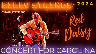 BILLY STRINGS Live 2024  RED DAISY  Concert For Carolina NC [upl. by Disini667]