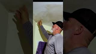 Cover a Stained Ceiling in an Afternoon The DIY Way ceilingpainting ceilingrepair diy [upl. by Ainotal]