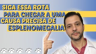 Fisiopatologia da hepatoesplenomegalia em cÃ£es e gatos [upl. by Rae]