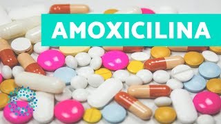 AMOXICILINA para que sirve  COMO TOMAR AMOXICILINA 500 mg [upl. by Arri553]