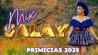 Mix Salay Primicias 2025 Cristhian Vidal Wili Rojas Alfredo Larico Y OTROS [upl. by Leimaj]