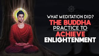 What Meditation Did the Buddha Practice to Achieve Enlightenment [upl. by Berkow794]