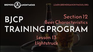 BJCP Training Section 12 Beer Characteristics  Lesson 13  Lightstruck [upl. by Danya482]