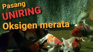 PASANG AERATOR UNIRING DI KOLAM KOI [upl. by Palila]