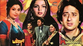 HUM DONO 1980  NADEEM SHABNAM KEMAL SAIQA  OFFICIAL PAKISTANI MOVIE [upl. by Conner]