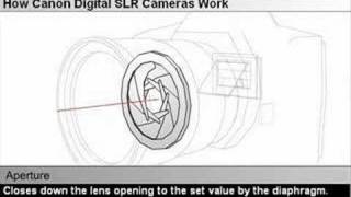 How Canon Digital SLR Cameras Work  Microglobecouk [upl. by Attennhoj]