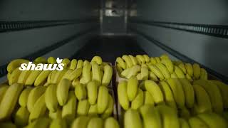 Every detail matters so you can enjoy ripe bananas everyday Shop fresh produce at your local store [upl. by Kunin]