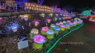 イルミネーション コダナリエ Japan 8K Yamamoto Beauty of Hand made Christmas Lights  Kodanarie 宮城の冬の風物詩 [upl. by Tannen230]