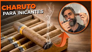 Charutos para iniciantes  Guia Básico  como acender cortar guardar e harmonizar  Feat CIGAR 019 [upl. by Ameline]