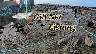 Coastal Gill Net Fishing From The Shore [upl. by Laemsi]