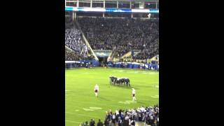 Kentucky Football “Grove Street Party” vs South Carolina 2014 [upl. by Trotter337]