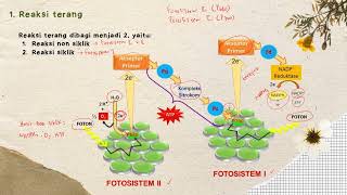 Metabolisme Bagian 3  Anabolisme  Materi Biologi Kelas 12 [upl. by Cathrine]