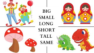 Big  Small  Long  Short  Tall  Short  Same size Learn and compare sizes for kids [upl. by Etnaid]