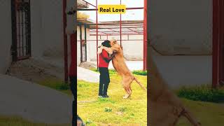 Real love love viralvideo shortvideo [upl. by Ajani]