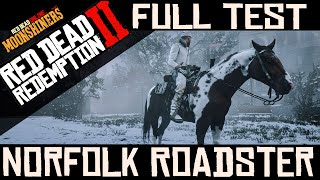 New Norfolk Roadster Horse  Full Test Everything you need to know [upl. by Radnaskela]