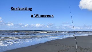 Surfcasting à Wimereux les flets sont bien actifs [upl. by Notse]