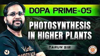 PHOTOSYNTHESIS IN HIGHER PLANTS CLASS 11  DOPA PRIME 05  NEET 2025 DOPA PRIME SOLUTION TARUN SIR [upl. by Bayless100]