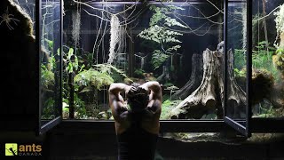 Animals Escaped My Giant Rainforest Vivarium and Into My Home [upl. by Cramer]