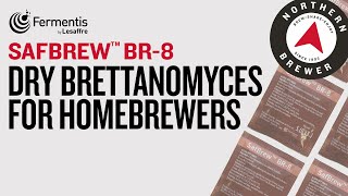 SafBrew™ BR8  Dry Brettanomyces for Homebrewers [upl. by Akemot]