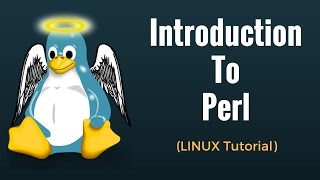 Introduction to Perl  Perl Tutorial for Beginners [upl. by Lauer]