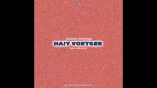 HAIY VOETSEK prod xaddy potter [upl. by Teddman]