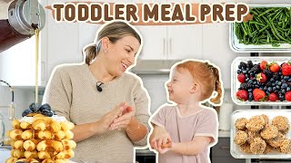 TODDLER MEAL PREP  Picky Eater Kids Meal Ideas They Will LOVE [upl. by Alexandre]