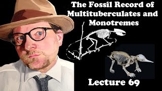 Lecture 69 The Fossil Record of Multituberculates and Monotremes [upl. by Lipson]