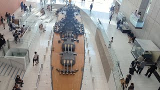 Japanese Navy Go to the Battleship Yamato Museum in Kure City Hiroshima [upl. by Zalucki]