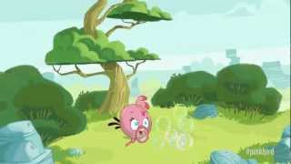 Meet the Pink Bird A new member of the Angry Birds [upl. by Aicertal]