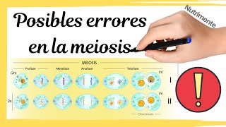 Posibles ERRORES en la MEIOSIS Poliploidías y Aneuploidías [upl. by Niuqaoj]