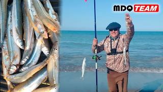 PESCA DE PEJERREY DE PLAYA TREMENDO CARDUMEN EN LA COSTA [upl. by Hallett]