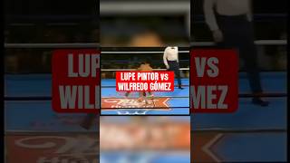 Lupe Pintor y Wilfredo Gómez una espectacular pelea de los 80’s 🥊 boxing boxeo [upl. by Bocoj907]