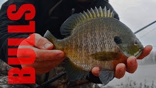 Early Spring Bluegill Fishing 2018 [upl. by Ellerud819]