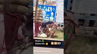 Chorni 23 india 🇮🇳 panjab farmar chori like farming panjab india viralreels shortvideo [upl. by Aanas90]